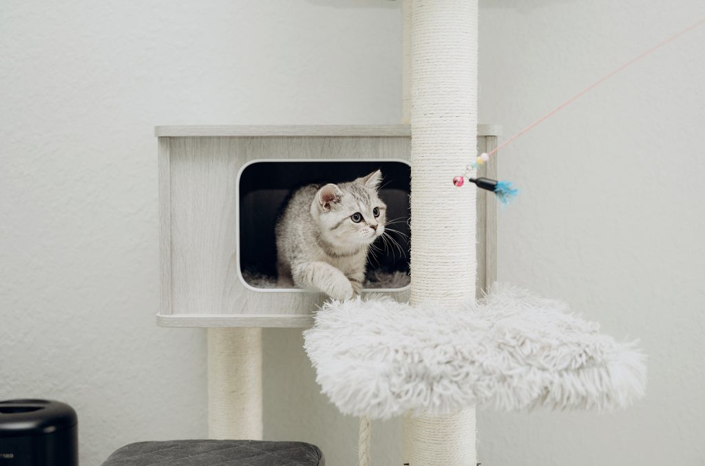 キャットタワー