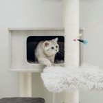 キャットタワー