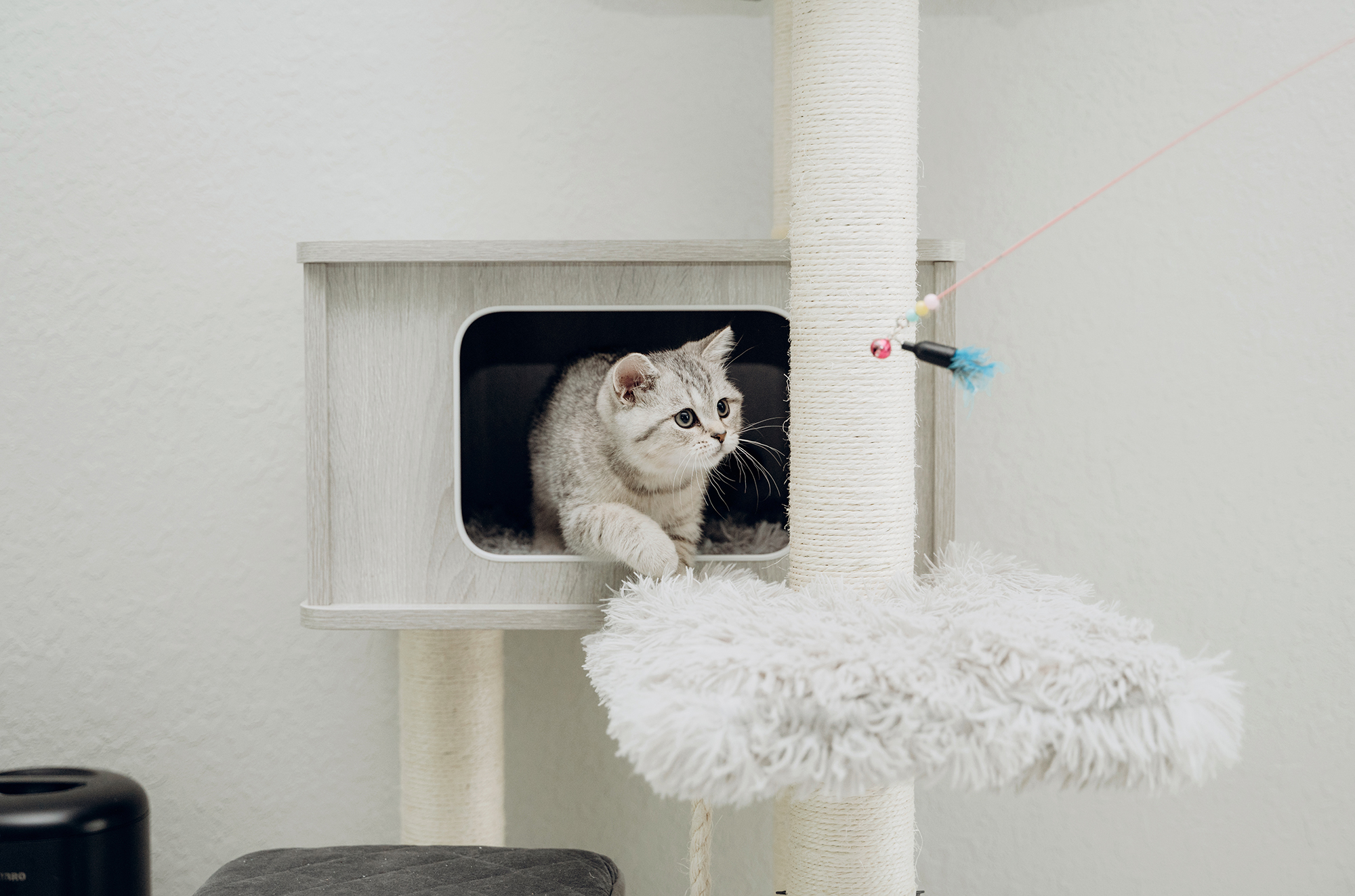 キャットタワー