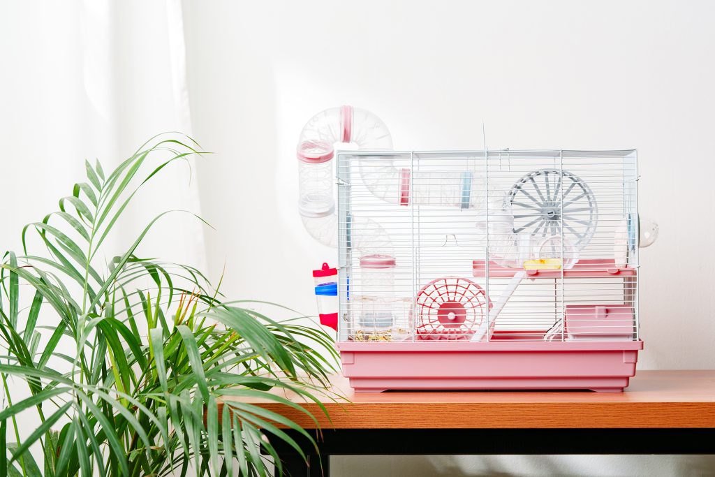 ケージ置き場所