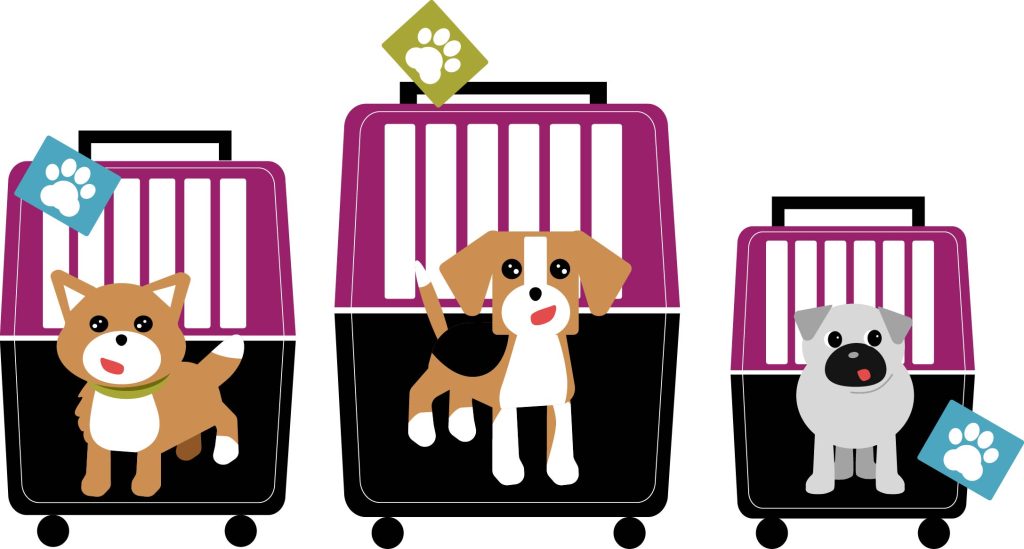 キャリーケースと犬3匹