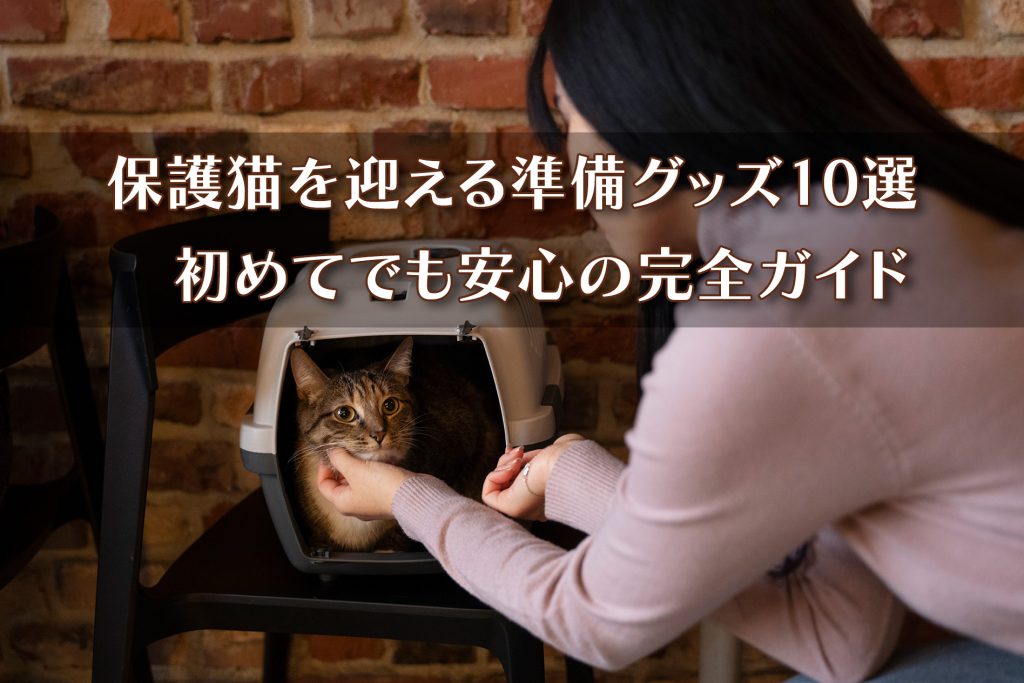 保護猫を迎える準備グッズ