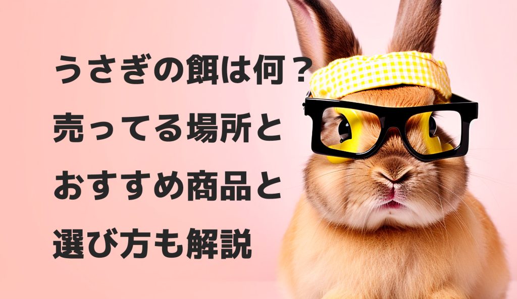 うさぎの餌はなに？売ってる場所は？