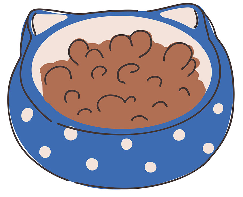 保護猫を迎えるグッズ　お皿