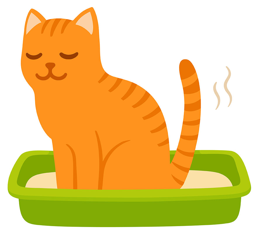 保護猫を迎えるグッズ トイレ