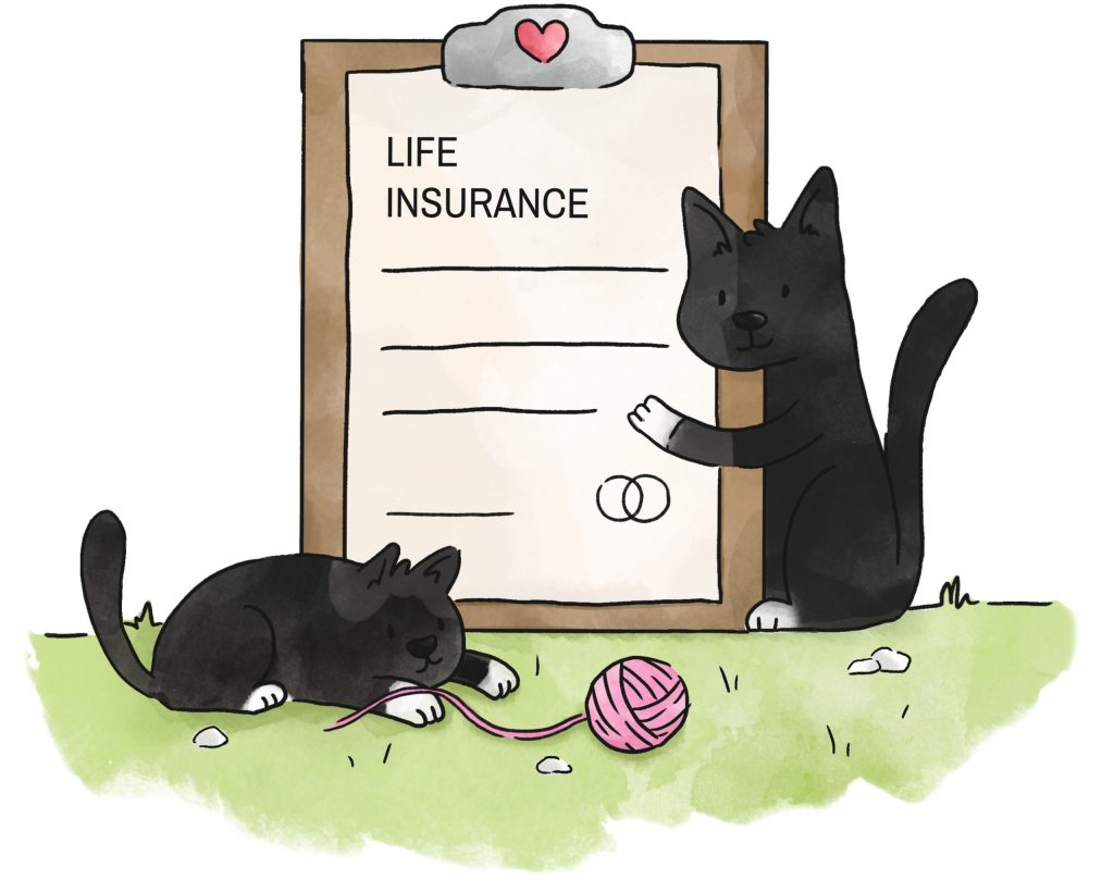 保護猫を迎えるグッズ 手続き