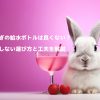 うさぎ給水ボトル